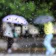 Cientistas analisaram por 2 anos a água da chuva de SP e se surpreenderam com o que encontraram