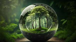 Biodiversidade é o indicador de sustentabilidade menos reportado