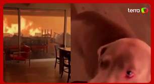 Incêndios nos EUA: homens e cão ficam presos em casa tomada por fogo em Los Angeles